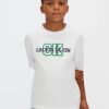 T-shirt Calvin klein
