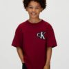 T-shirt Calvin klein